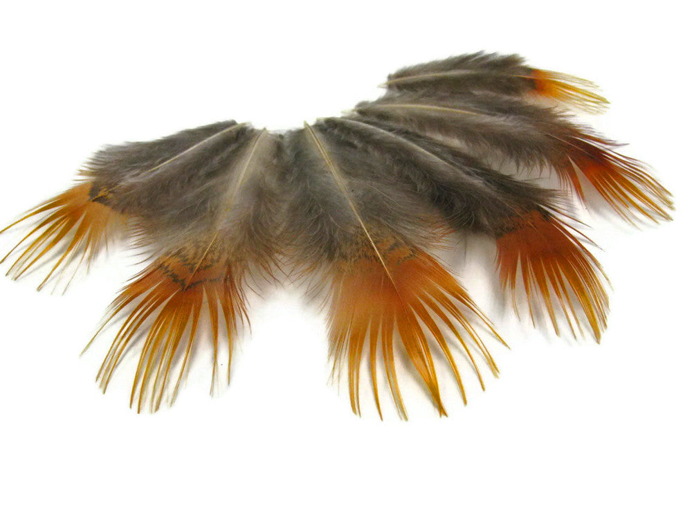 1/8 Lb. - Natural Yellow Golden Pheasant Plumage Wholesale Feather (Bulk)