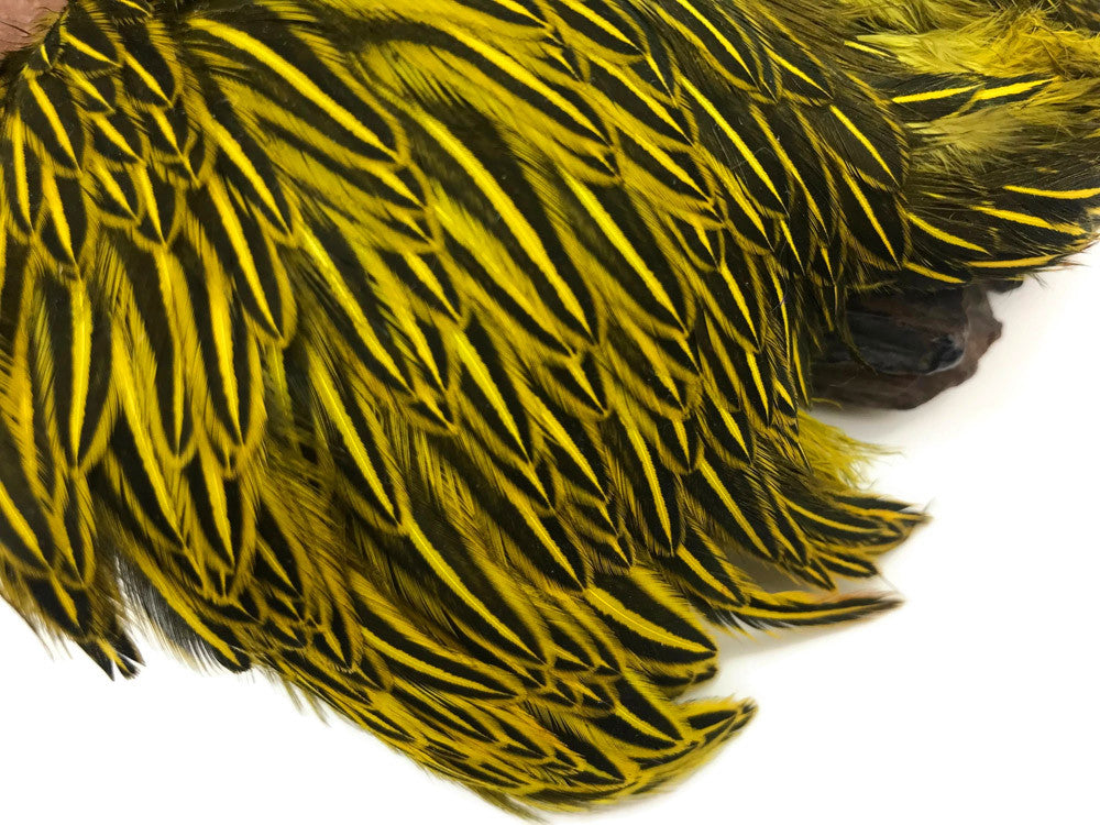 10 Pieces - Yellow Jungle Cock Loose Plumage Feather