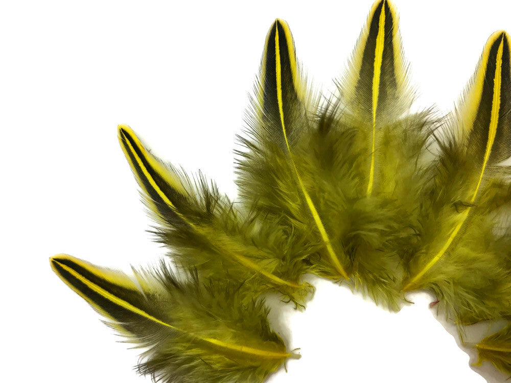 10 Pieces - Yellow Jungle Cock Loose Plumage Feather