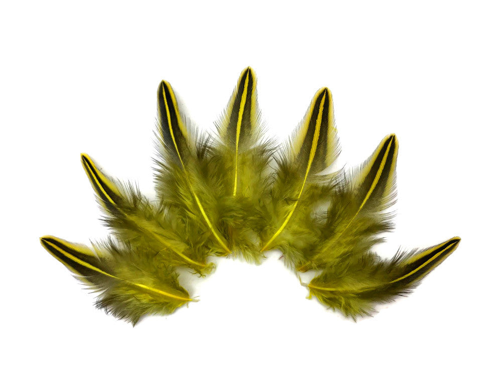 10 Pieces - Yellow Jungle Cock Loose Plumage Feather