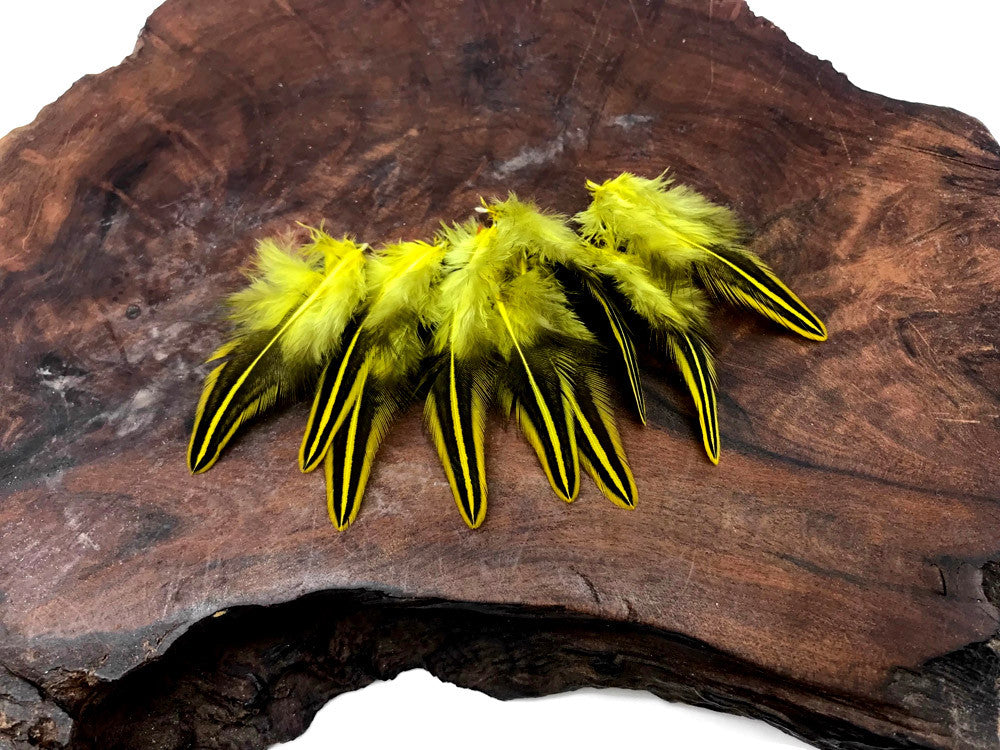 10 Pieces - Yellow Jungle Cock Loose Plumage Feather