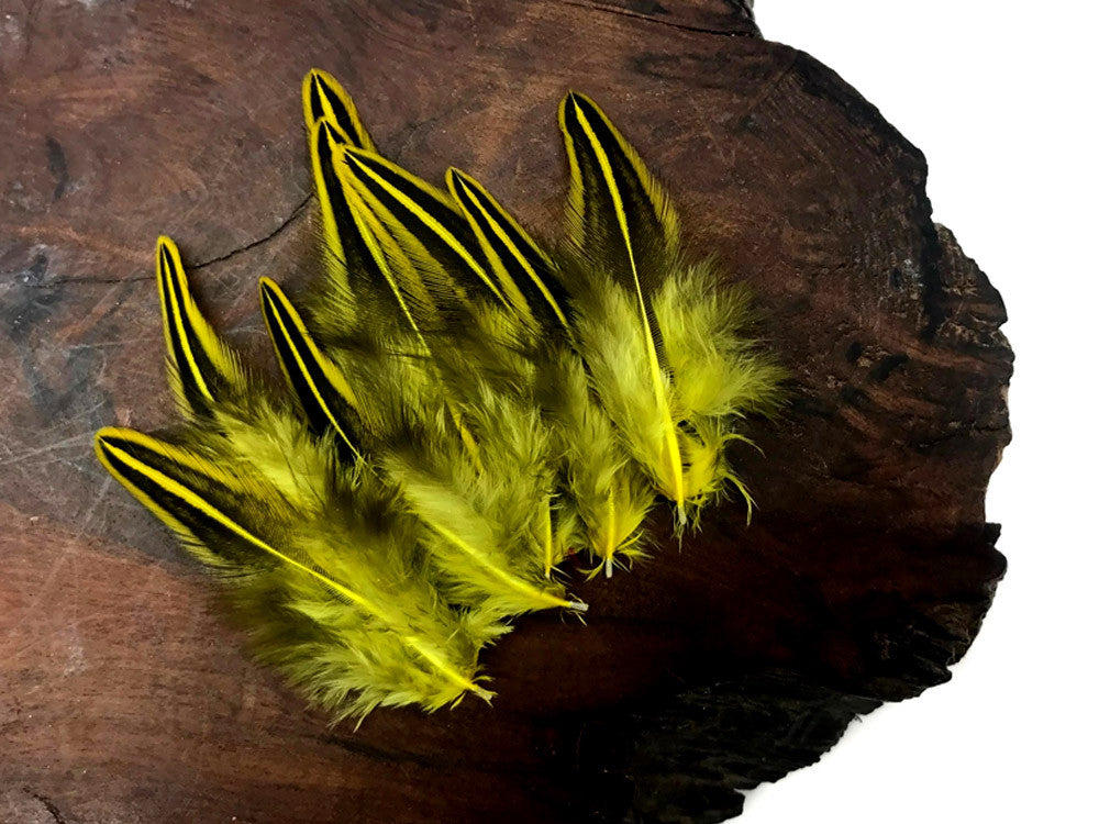 10 Pieces - Yellow Jungle Cock Loose Plumage Feather