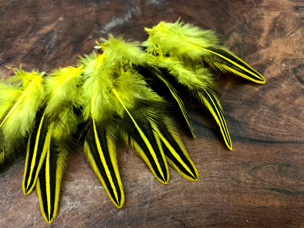 10 Pieces - Yellow Jungle Cock Loose Plumage Feather