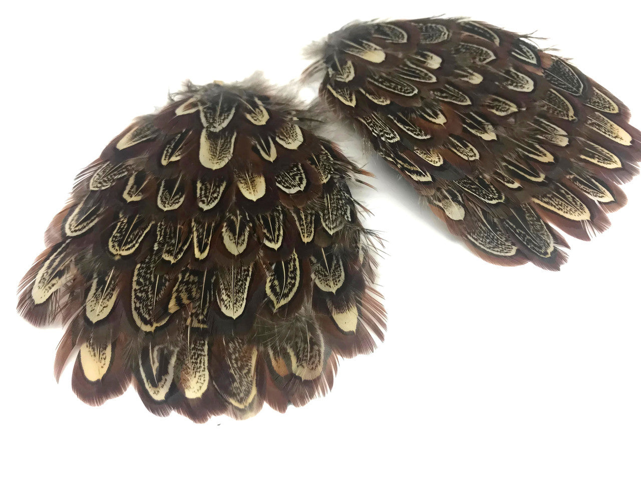 1 Piece - Natural Brown Ringneck Pheasant Almond Feather Pad