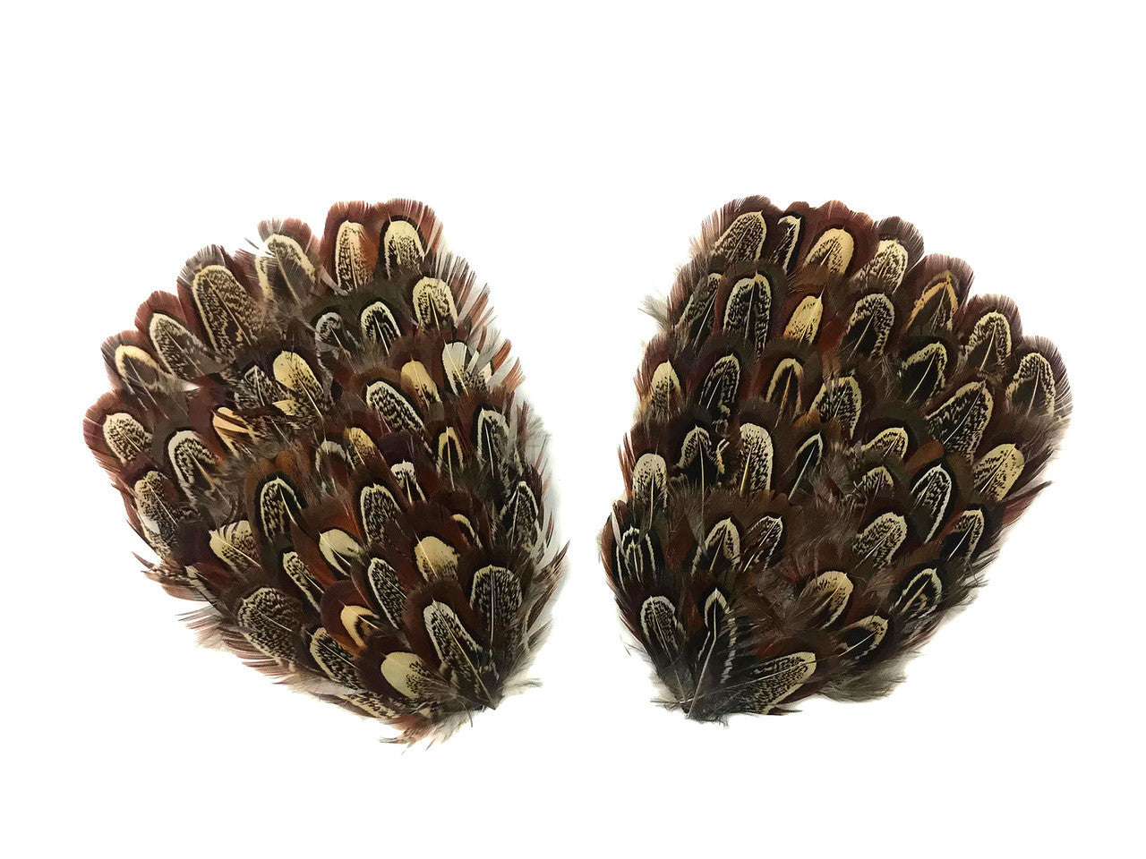 1 Piece - Natural Brown Ringneck Pheasant Almond Feather Pad