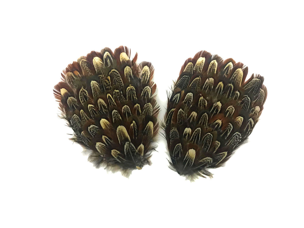 1 Piece - Natural Brown Ringneck Pheasant Almond Feather Pad