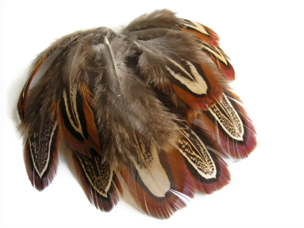 Natural patterned brown and tan feathers for crafts and fashion DIY supplies.