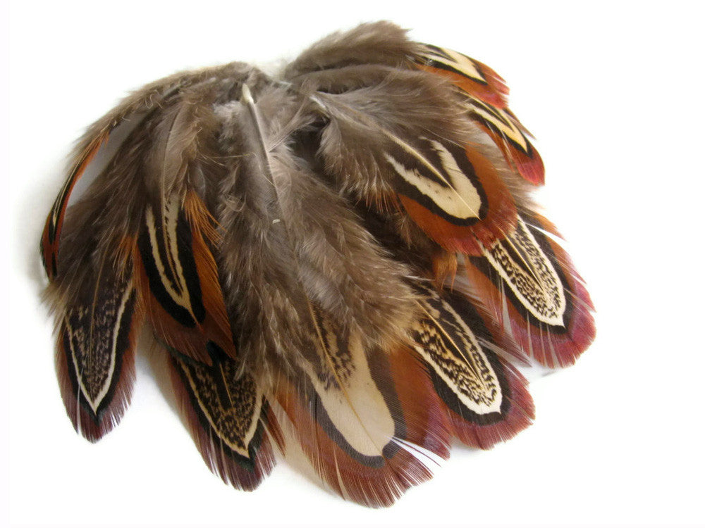 1 Yard - Almond Ringneck Pheasant Plumage Feather Trim