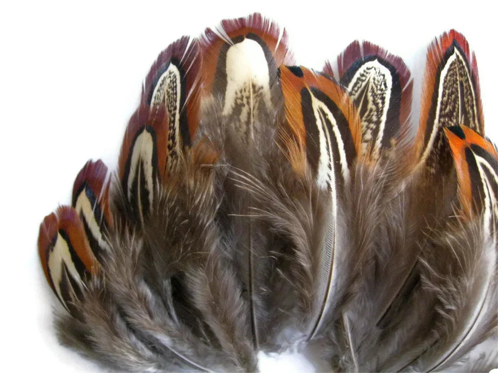 Natural brown and orange patterned feathers for DIY crafts and fashion decor.