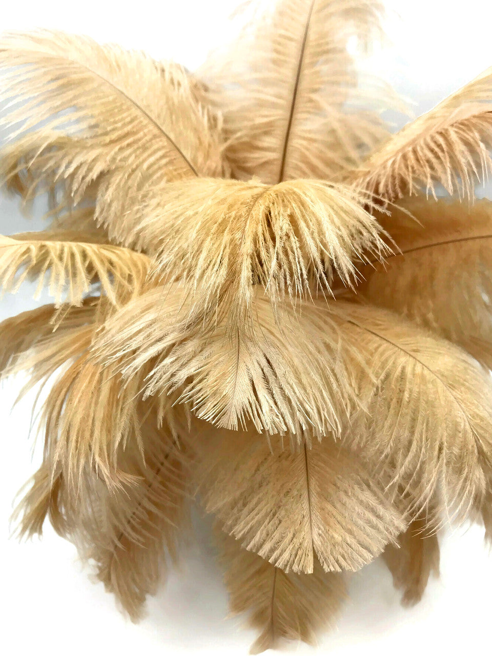 10 Pieces - 6-8" Old Gold Ostrich Dyed Drabs Feathers