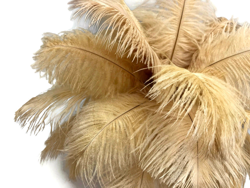 10 Pieces - 6-8" Old Gold Ostrich Dyed Drabs Feathers