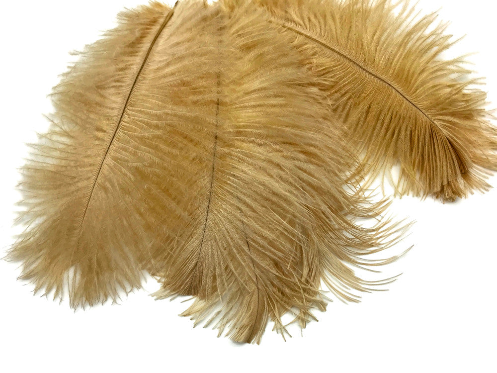 10 Pieces - 14-17" Antique Gold Ostrich Dyed Drab Large Body Feathers