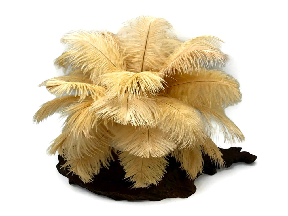 10 Pieces - 14-17" Antique Gold Ostrich Dyed Drab Large Body Feathers