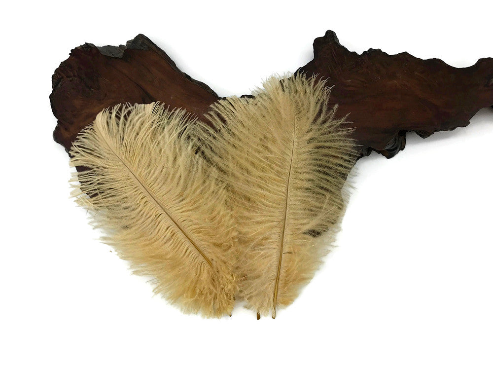 100 Pieces - 8-10" Antique Gold Ostrich Dyed Drab Body Wholesale Feathers (Bulk)