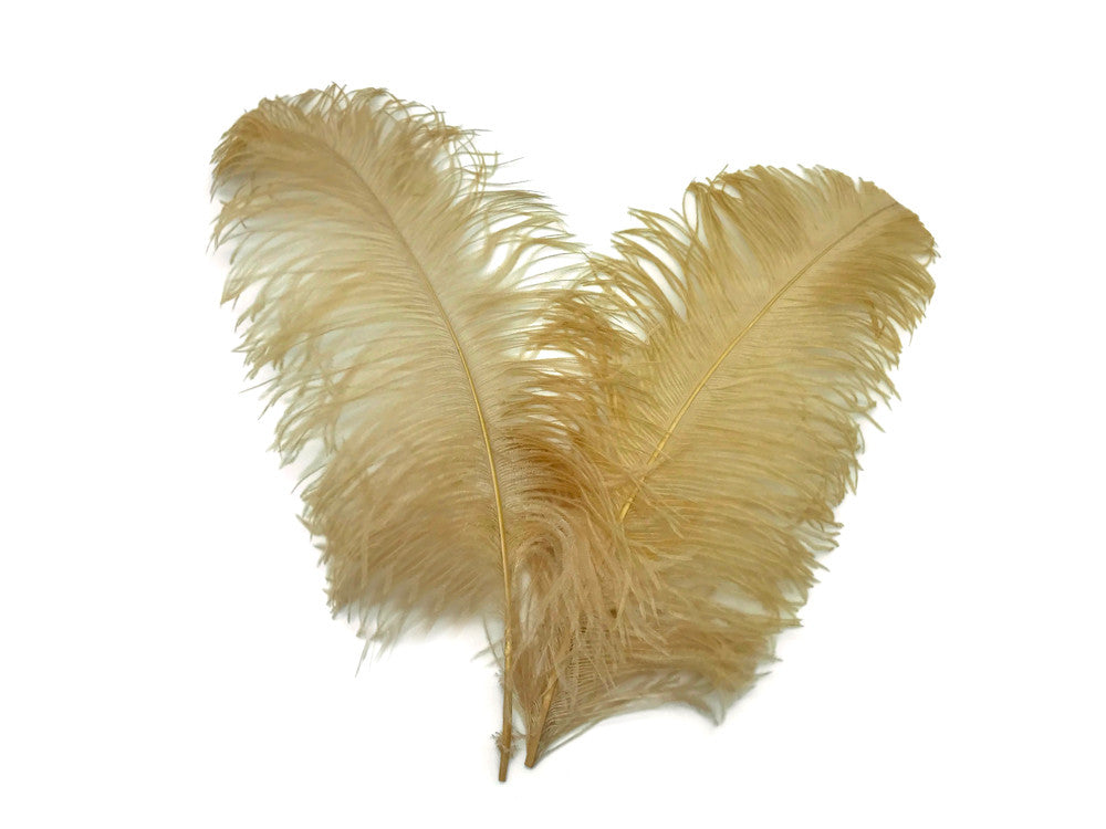 10 Pieces - 18-24" Old Gold Large Prime Grade Ostrich Wing Plume Centerpiece Feathers