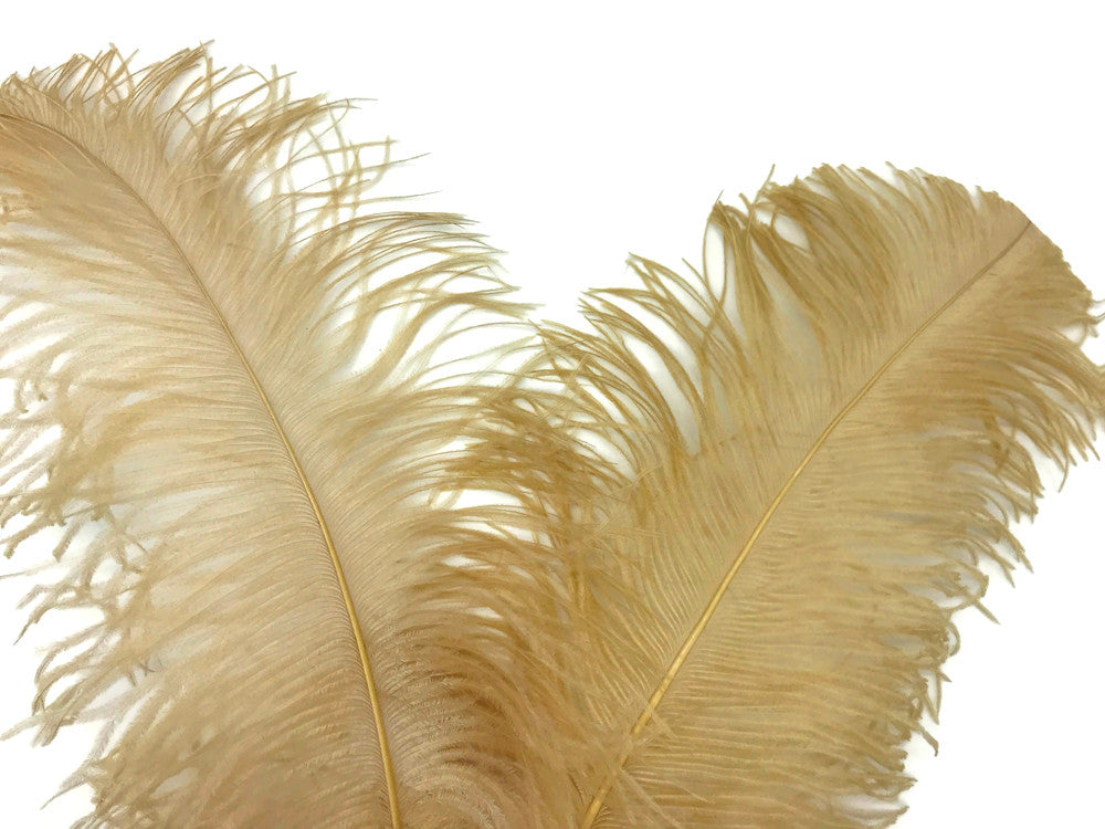 1/2 Lb. - 18-24" Old Gold Large Ostrich Wing Plume Wholesale Feathers (Bulk)