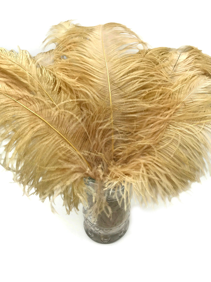 10 Pieces - 18-24" Old Gold Large Prime Grade Ostrich Wing Plume Centerpiece Feathers