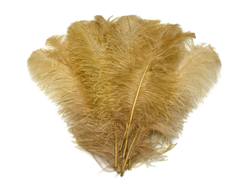 10 Pieces - 18-24" Old Gold Large Prime Grade Ostrich Wing Plume Centerpiece Feathers