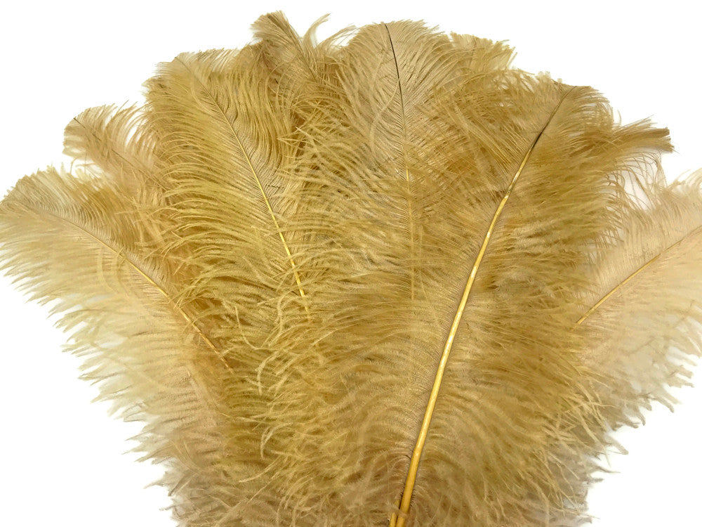 1/2 Lb. - 18-24" Old Gold Large Ostrich Wing Plume Wholesale Feathers (Bulk)