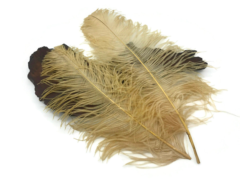 10 Pieces - 18-24" Old Gold Large Prime Grade Ostrich Wing Plume Centerpiece Feathers