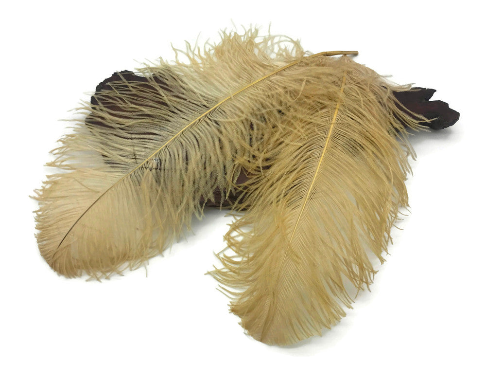 1/2 Lb. - 18-24" Old Gold Large Ostrich Wing Plume Wholesale Feathers (Bulk)