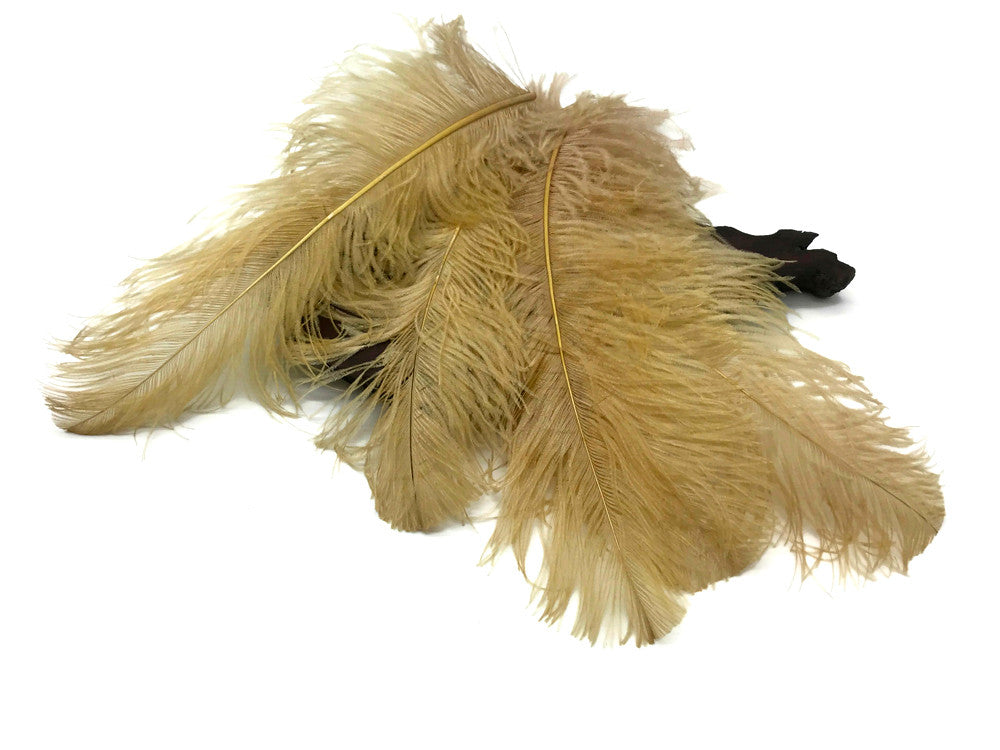 10 Pieces - 18-24" Old Gold Large Prime Grade Ostrich Wing Plume Centerpiece Feathers