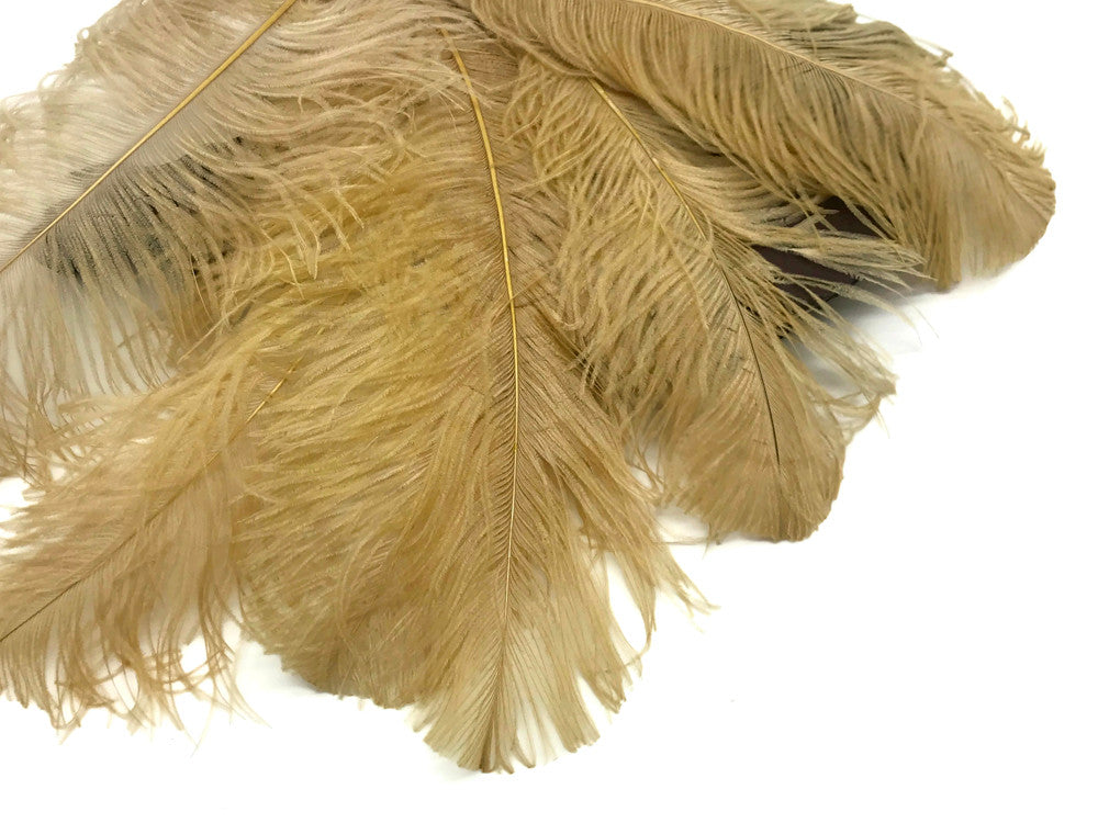 1/2 Lb. - 18-24" Old Gold Large Ostrich Wing Plume Wholesale Feathers (Bulk)