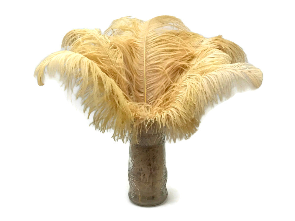 10 Pieces - 18-24" Old Gold Large Prime Grade Ostrich Wing Plume Centerpiece Feathers