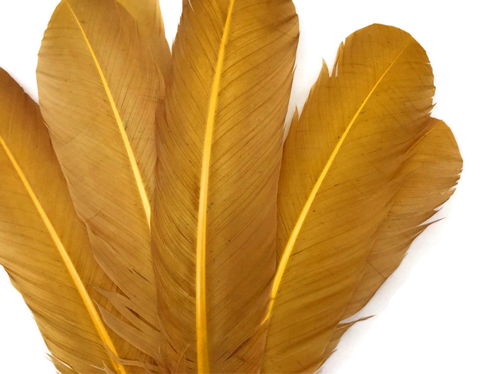 6 Pieces - Antique Gold Turkey Rounds Secondary Wing Quill Feathers