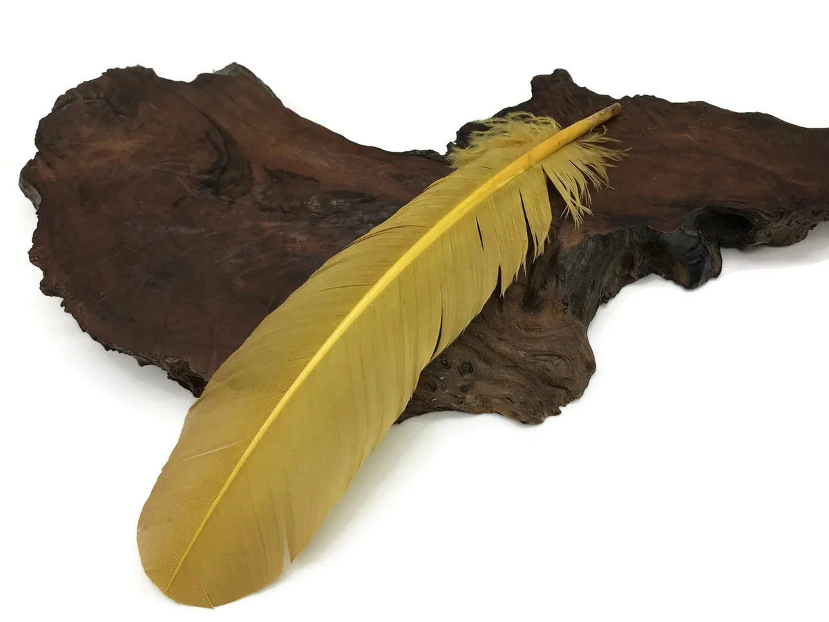 Single large yellow feather resting on a rustic dark wood slice decor piece.