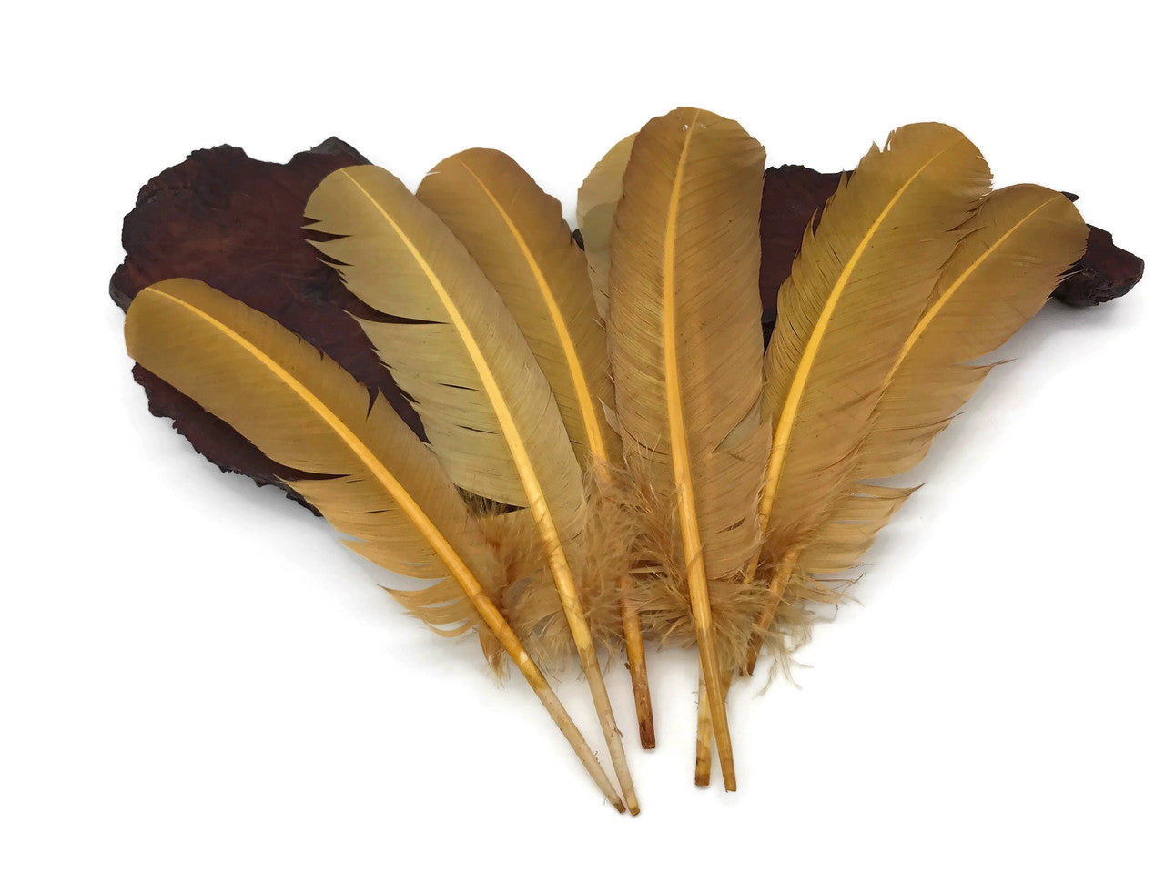 6 Pieces - Antique Gold Turkey Rounds Secondary Wing Quill Feathers