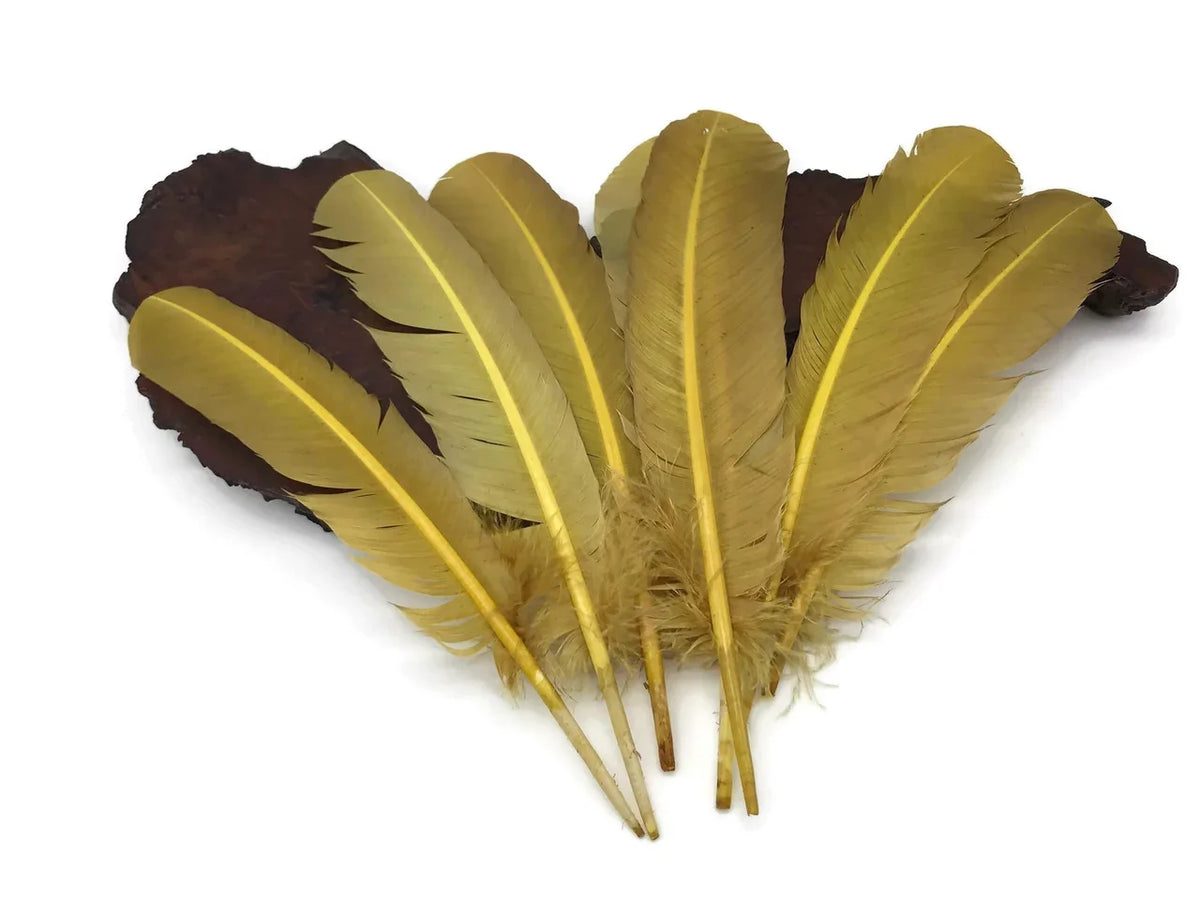 Set of long yellow craft feathers arranged on a dark natural wood base.