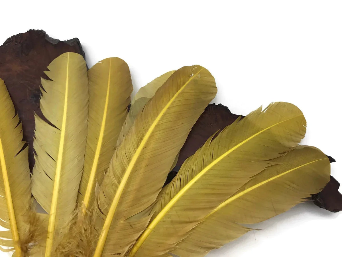 Natural yellow craft feathers arranged on a dark rustic wooden surface.