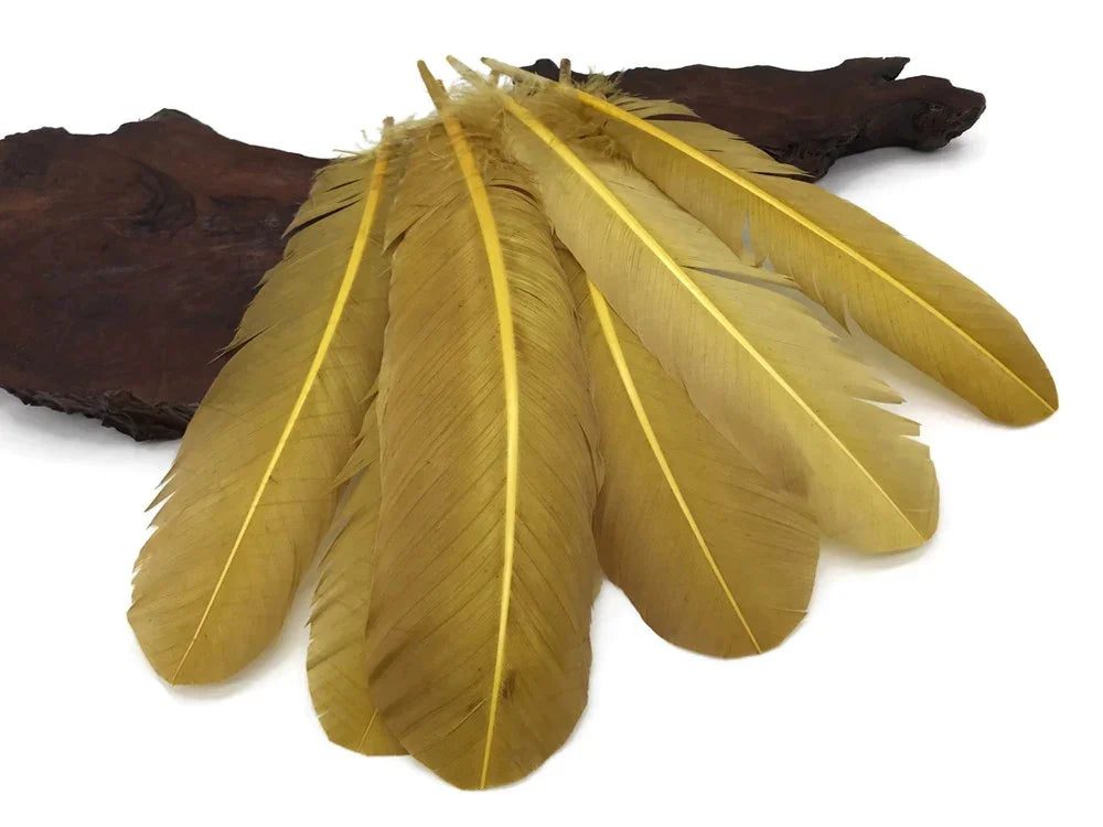 Natural large golden yellow feathers for DIY crafts and fashion decor.