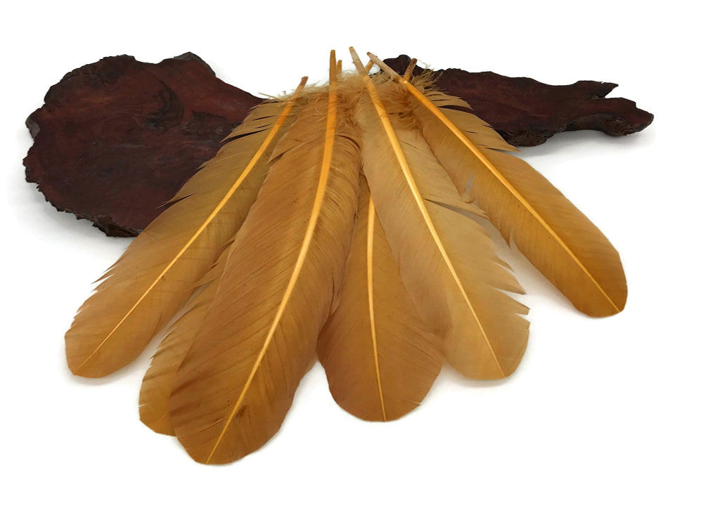 1 Lb. - Antique Gold Turkey Tom Rounds Secondary Wing Quill Wholesale Feathers (Bulk)