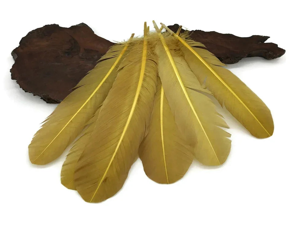 Set of large yellow craft feathers displayed on a dark wood base.