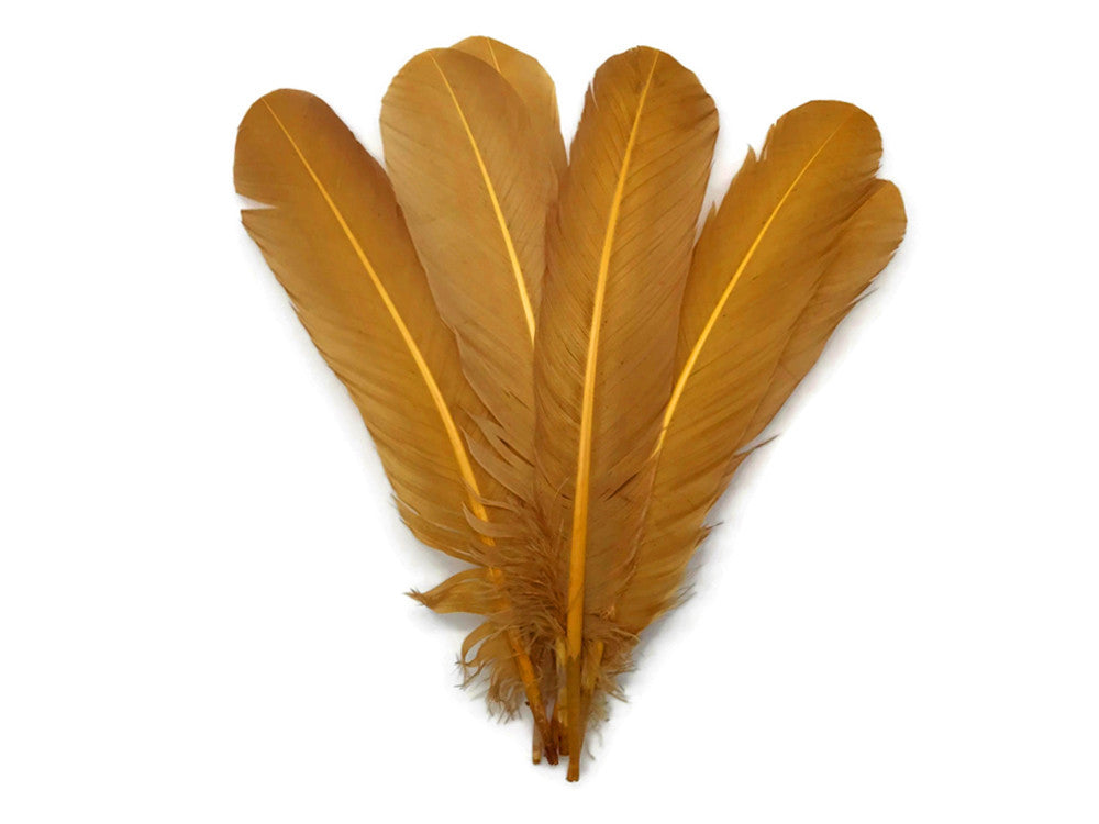 Wing Feathers, 1 Lb - Golden buy Yellow Turkey Rounds Wing Quill Wholesale Feathers (Bulk) Halloween Craft Supplier : 4946