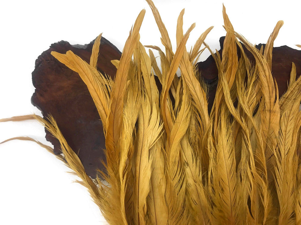 1 Yard - 10-12" Antique Gold Bleach & Dyed Coque Tails Long Feather Trim (Bulk)