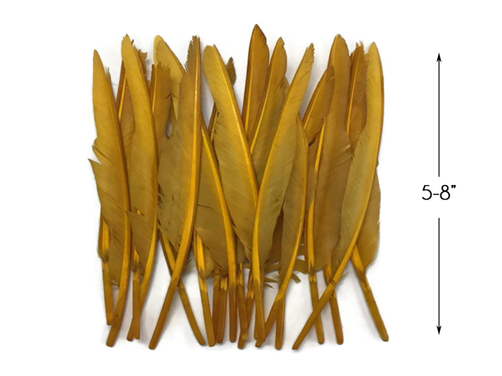 1 Pack - Antique Gold Duck Primary Wing Pointer Feathers 0.50 Oz.