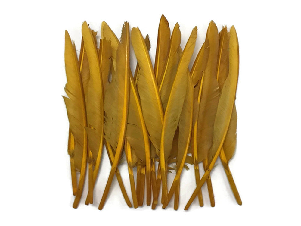 1 Pack - Antique Gold Duck Primary Wing Pointer Feathers 0.50 Oz.