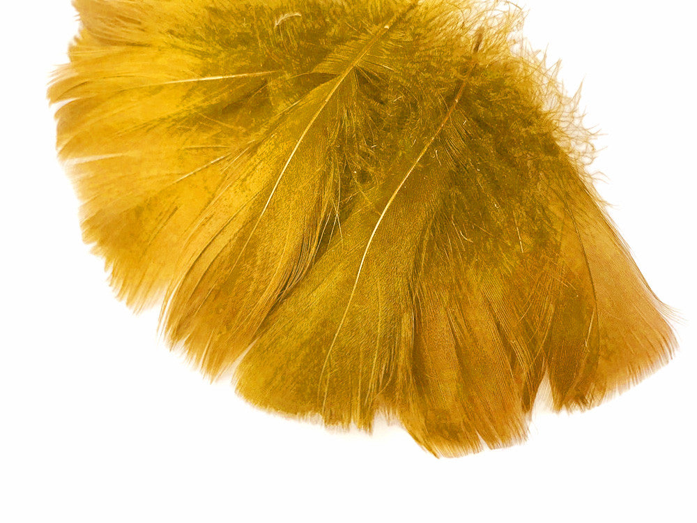 1 Pack - 2-3" Antique Gold Goose Coquille Loose Feathers - 0.35 Oz.