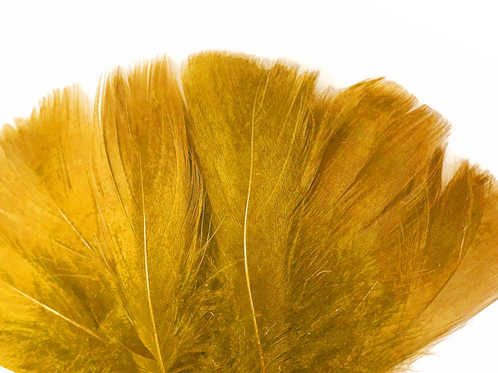 1 Pack - 2-3" Antique Gold Goose Coquille Loose Feathers - 0.35 Oz.