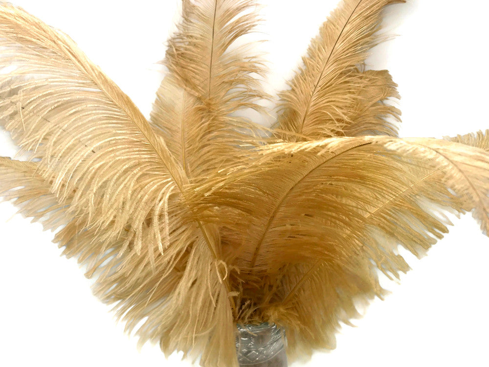 1/2 Lb - Antique Gold Large Ostrich Spads Wholesale Feathers 20-28" (Bulk) Swa