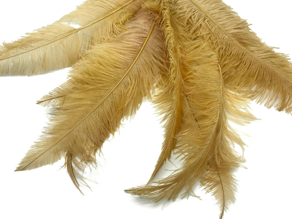 1/2 Lb - Antique Gold Large Ostrich Spads Wholesale Feathers 20-28" (Bulk) Swa