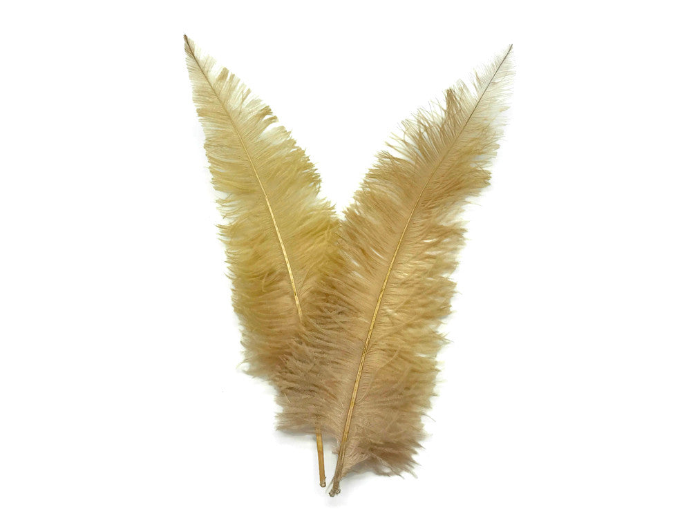 10 Pieces - 20-28" Antique Gold Ostrich Spads Large Wing Feathers