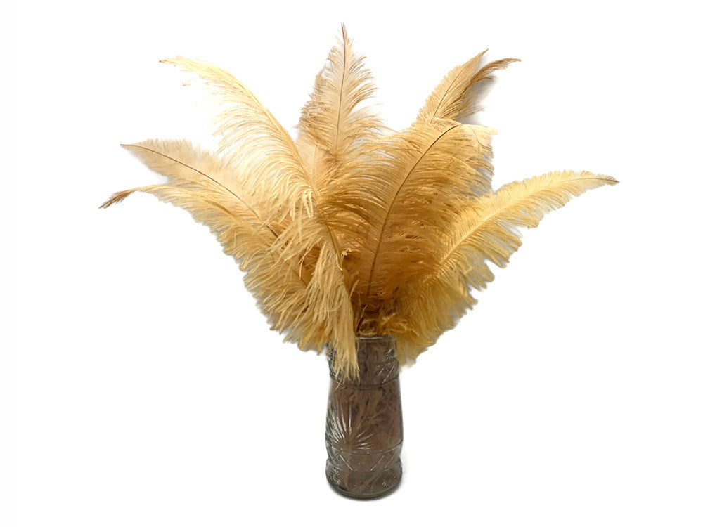 10 Pieces - 20-28" Antique Gold Ostrich Spads Large Wing Feathers