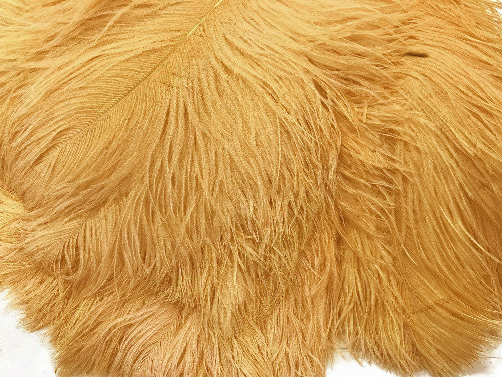 10 Pieces -  12-16" Antique Gold Dyed Ostrich Tail Fancy Feathers