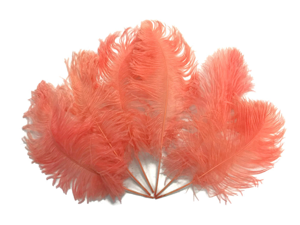 10 Pieces -  12-16" Apricot Dyed Ostrich Tail Fancy Feathers