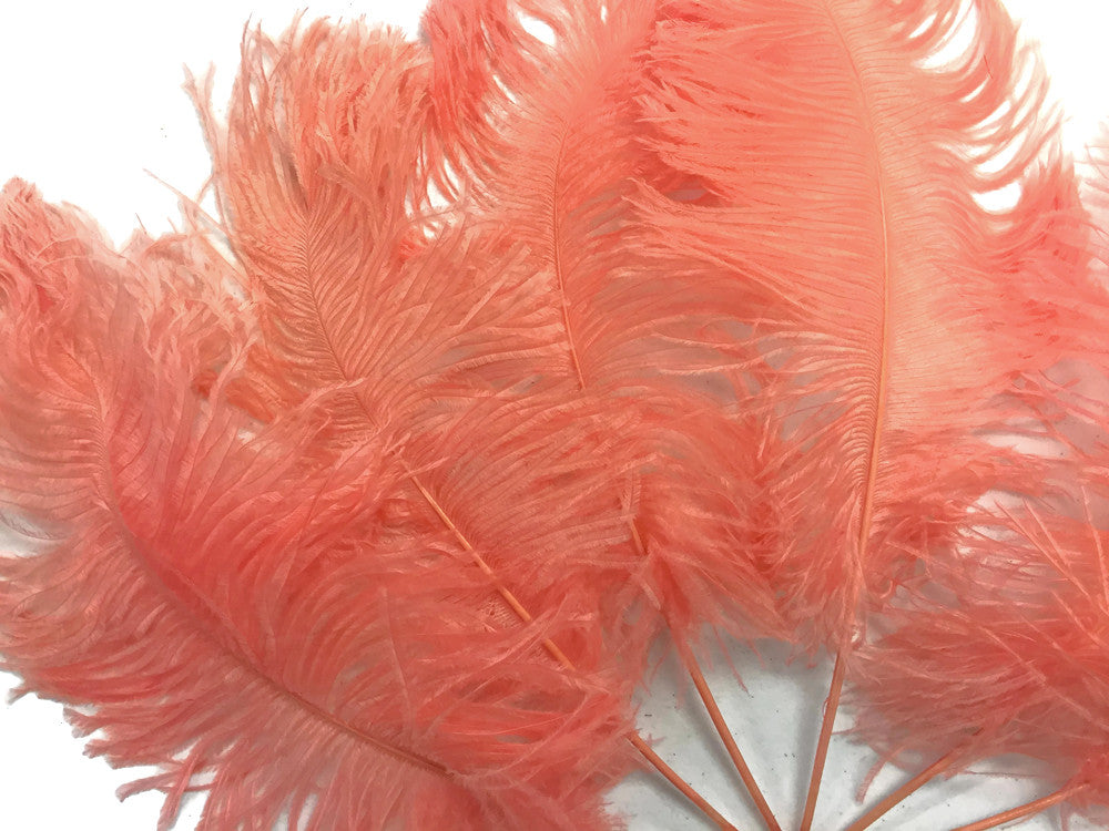 10 Pieces -  12-16" Apricot Dyed Ostrich Tail Fancy Feathers