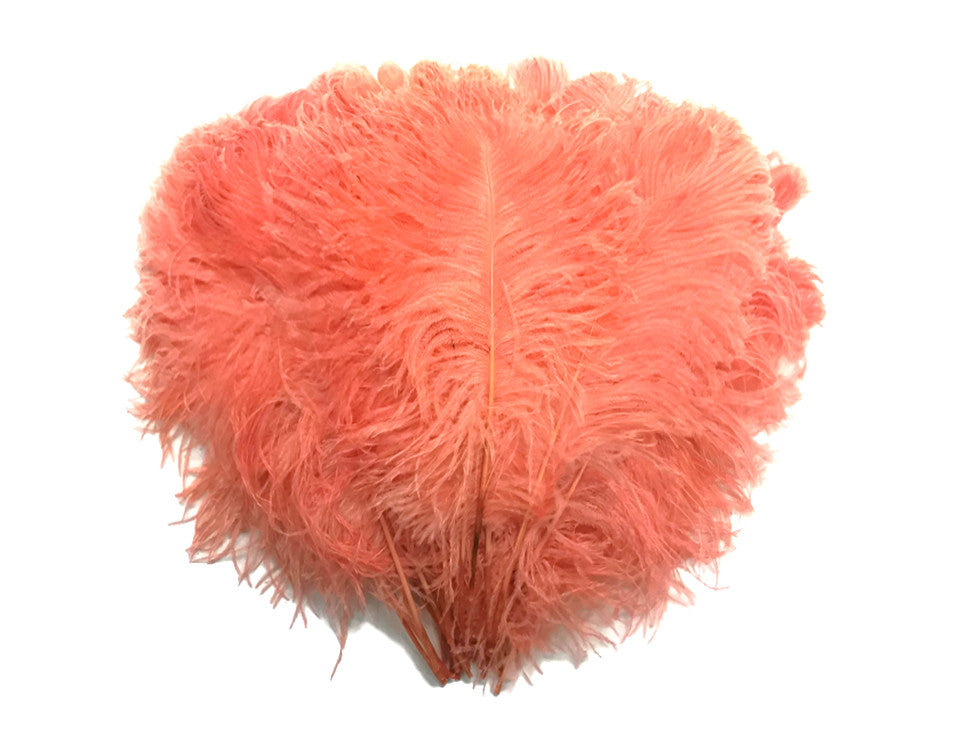 10 Pieces -  12-16" Apricot Dyed Ostrich Tail Fancy Feathers